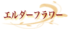 �G���_�[�t�����[